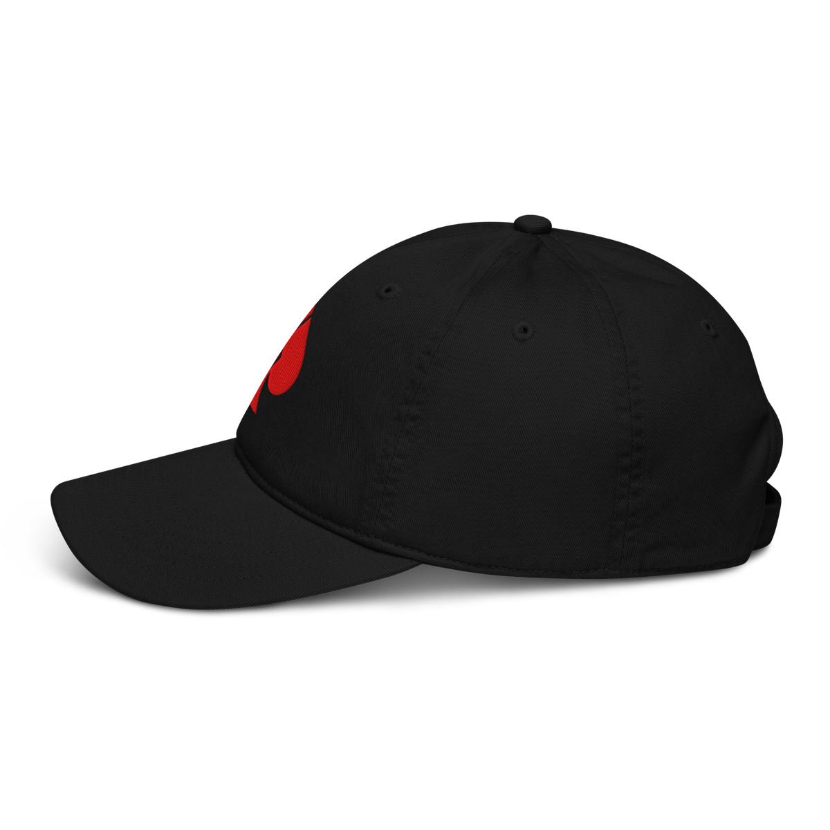 BBB Broken Ace — Embroidered Organic Cap — product view 3