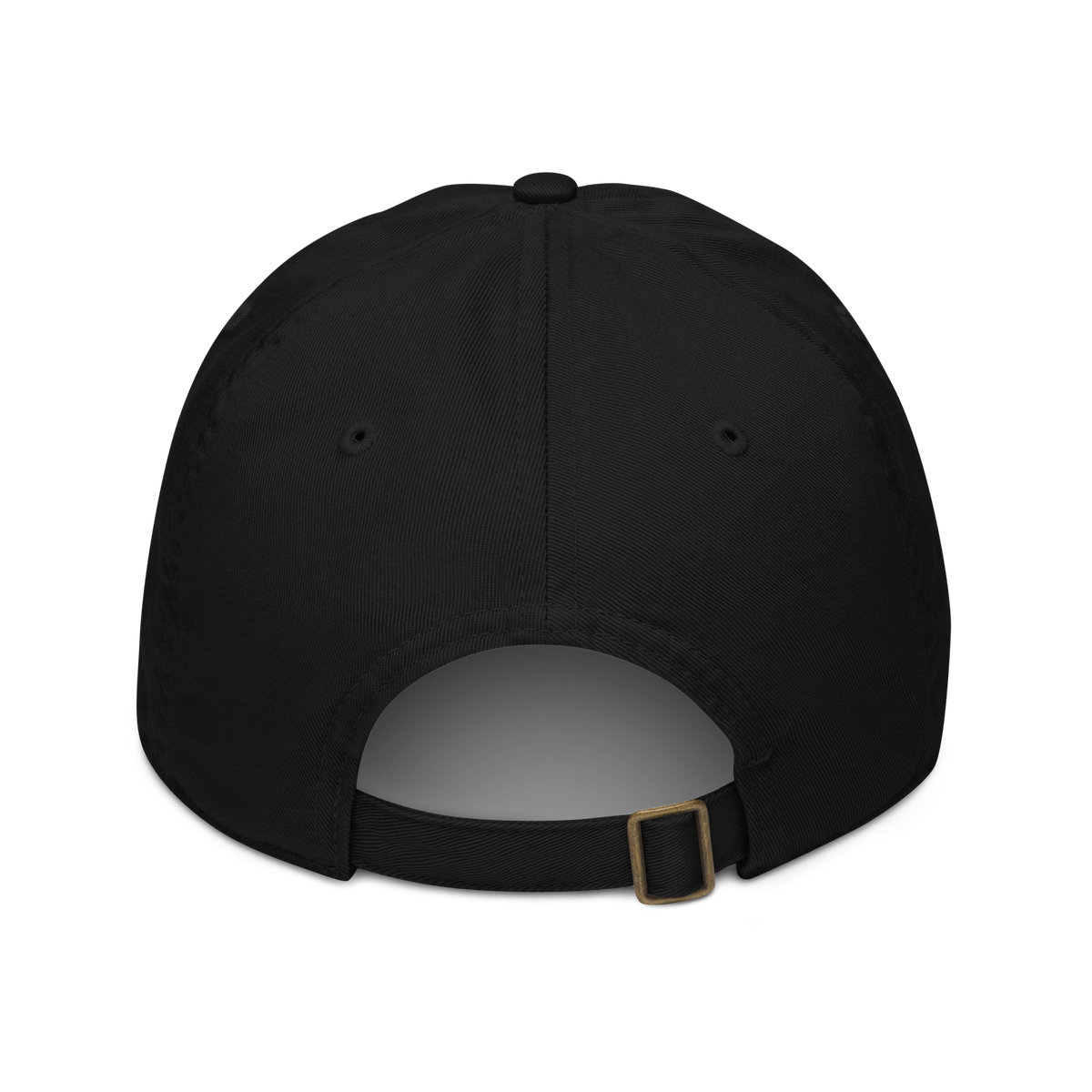 BBB Broken Ace — Embroidered Organic Cap — product view 2